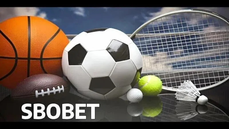 Định nghĩa cá cược bóng rổ SBObet là gì?