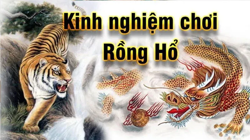 Chia sẻ mẹo hay khi đánh bài Rồng hổ Sbobet từ cao thủ