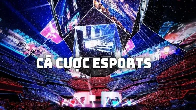 Hướng dẫn cách cược Esports tại nhà cái Sbobet